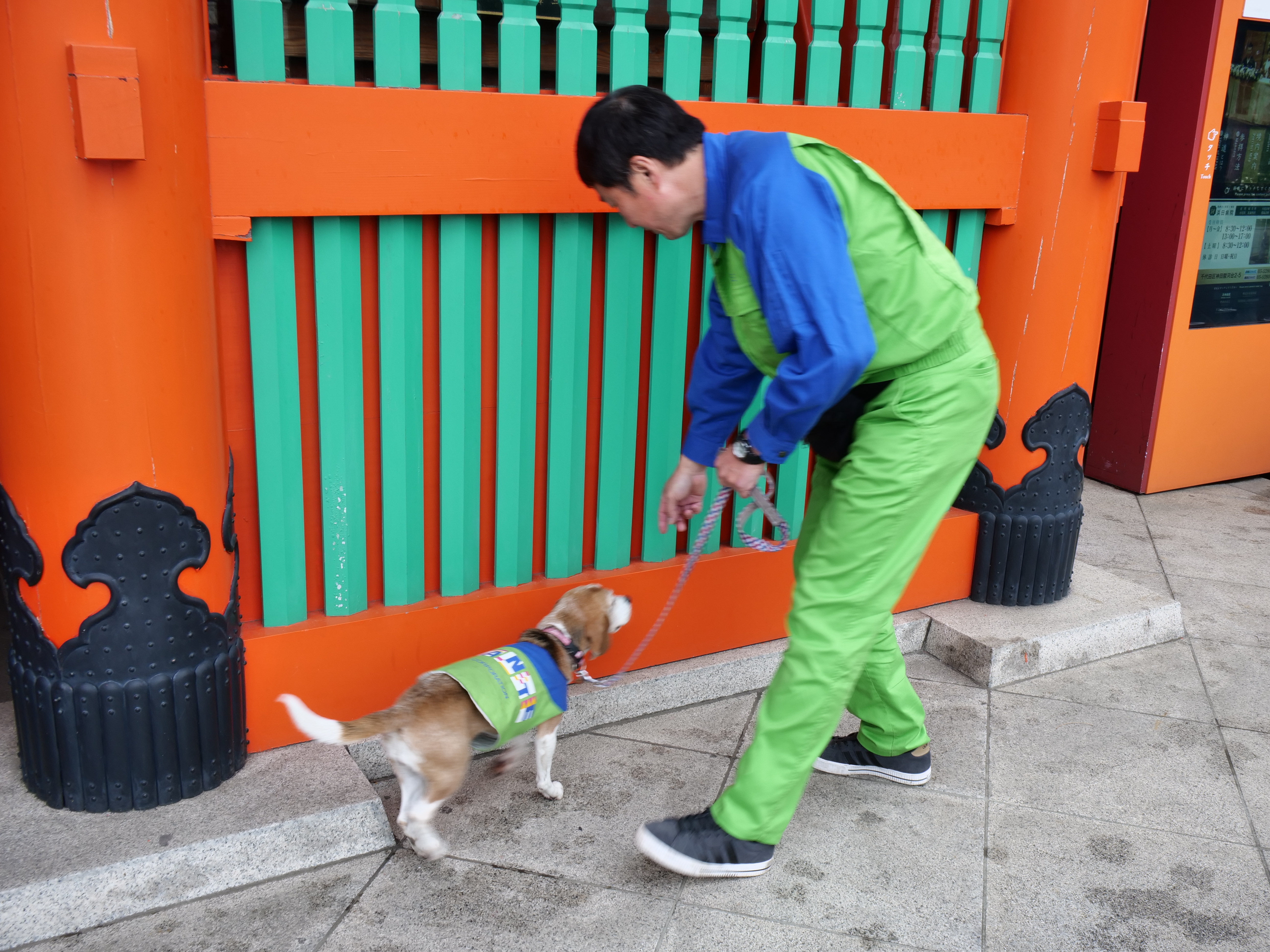 シロアリ探知犬による隨神門の調査画像