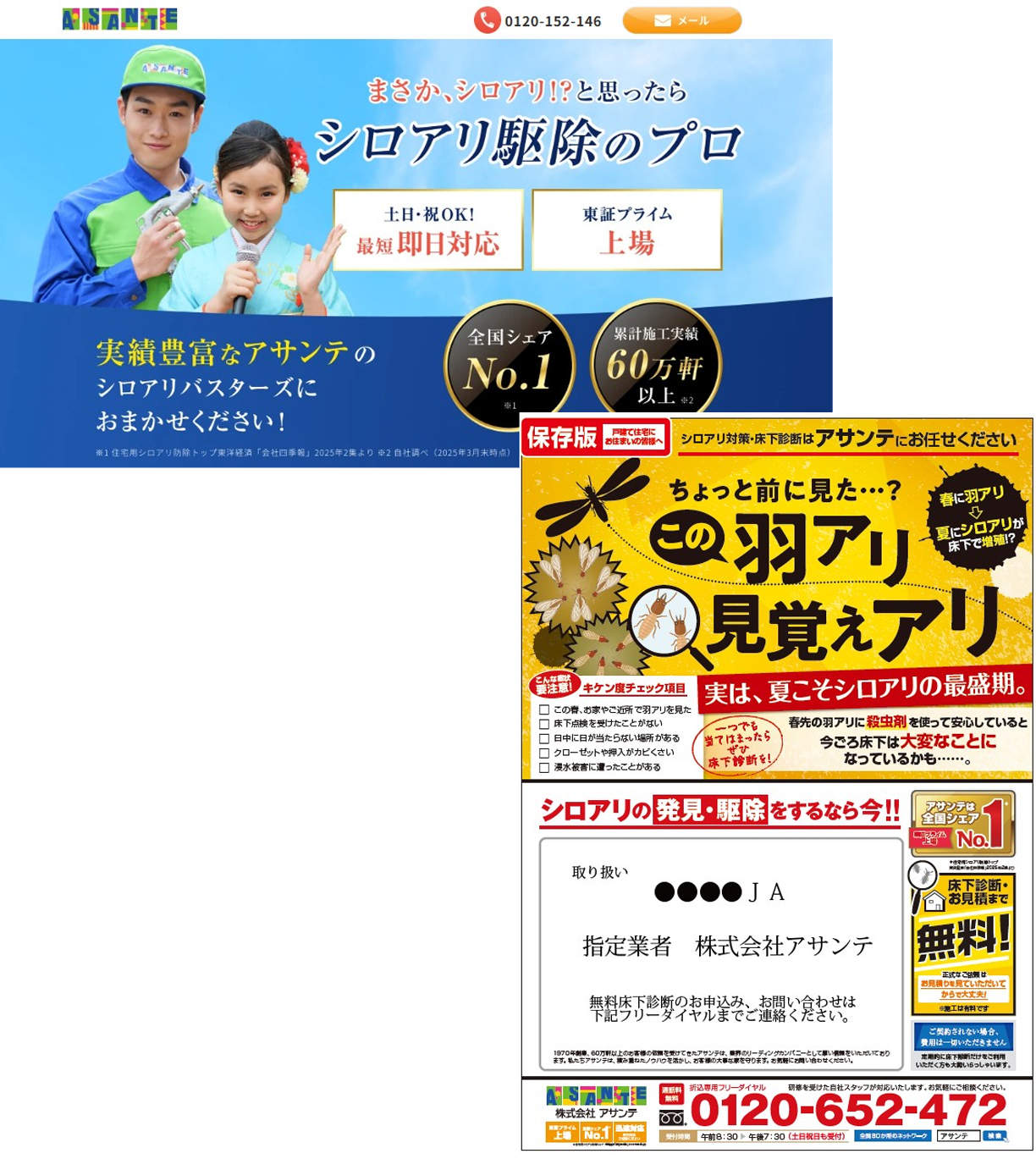 WEB広告・新聞折込チラシ画像