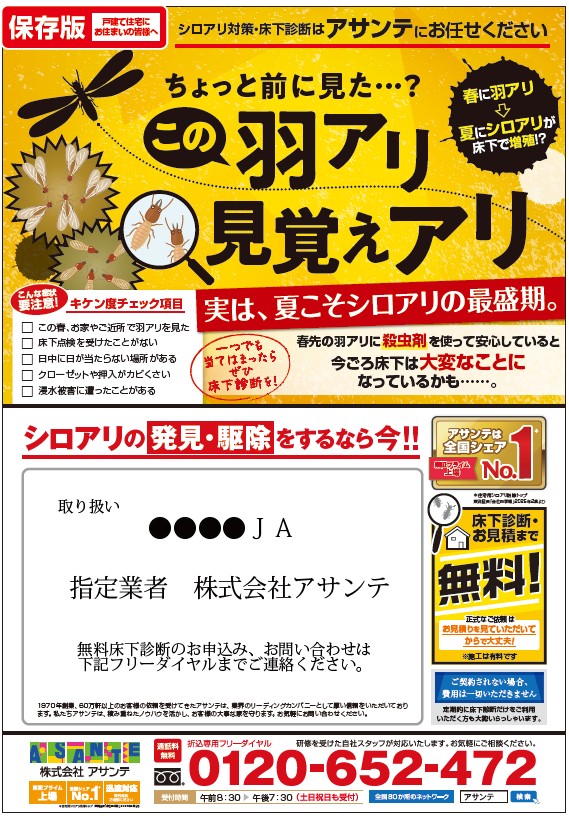 WEB広告・新聞折込チラシ画像2